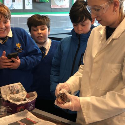 FishDissection2